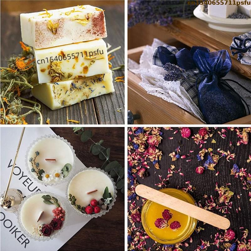 4 tipos de capullos de rosa na - Candle Making And Perfume reseña y precio